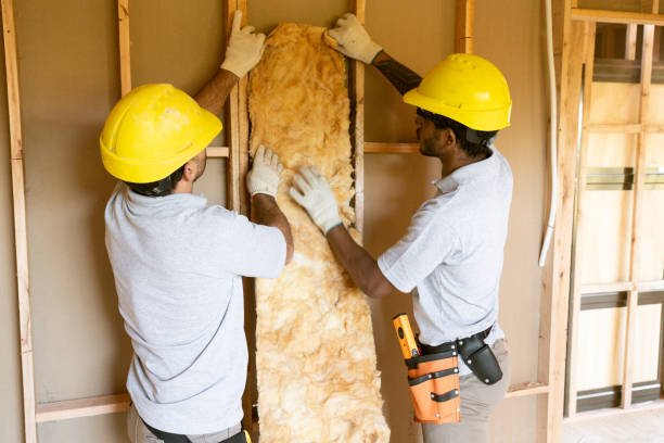 Eco-Friendly or Green Insulation Solutions in Lino Lakes, MN